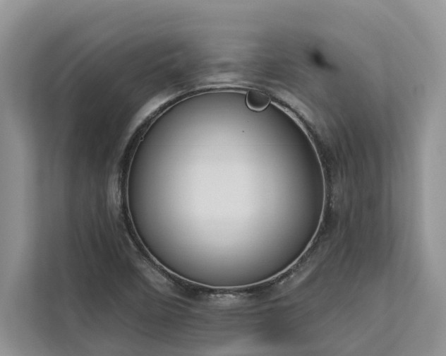 X0000113061458200908281124