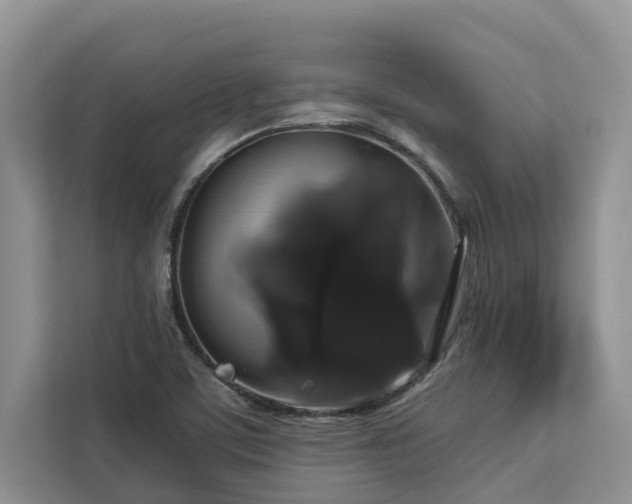 X0000113061459200908281124