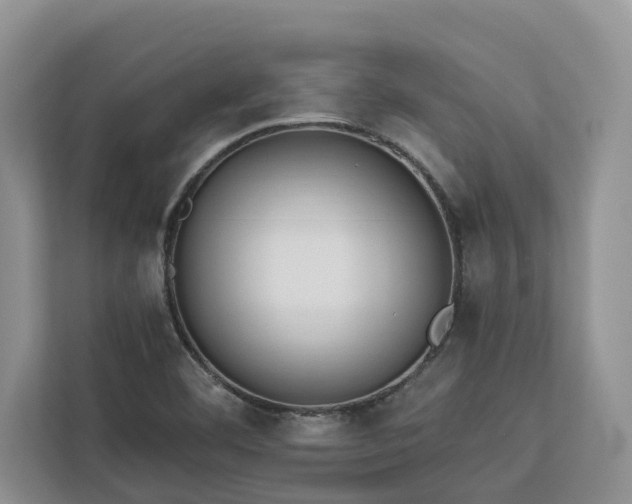 X0000113061460200908281124
