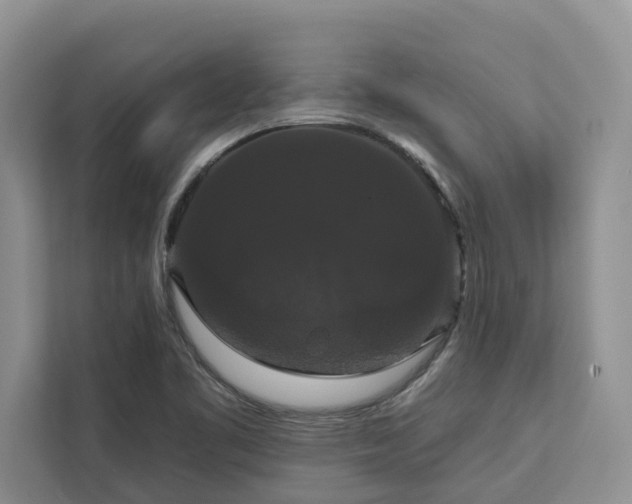 X0000113061461200908281124