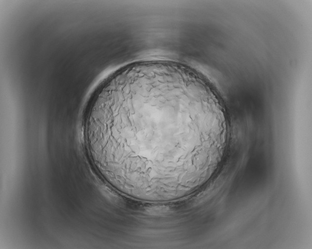 X0000113061462200908281124