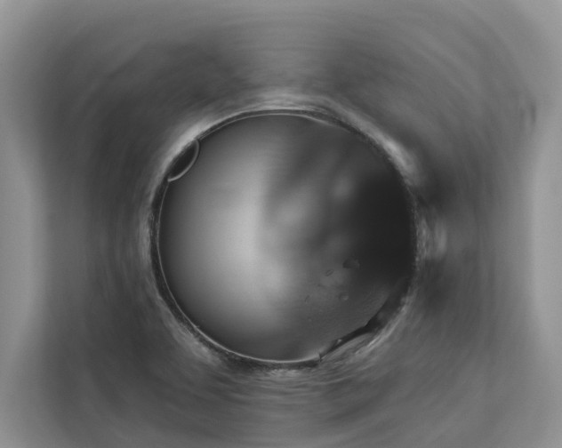X0000113061463200908281124