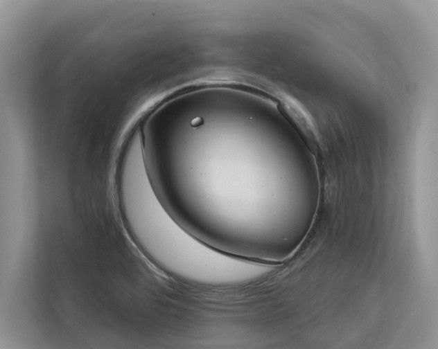 X0000113061464200908281124