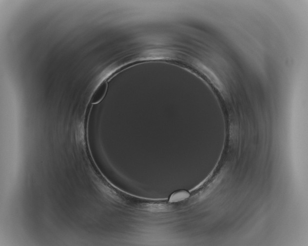 X0000113061465200908281124