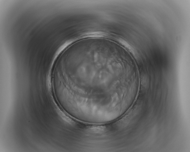 X0000113061466200908281124