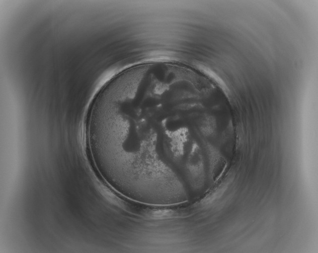 X0000113061467200908281124