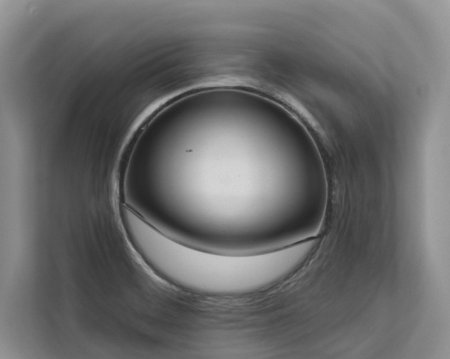 X0000113061468200908281124