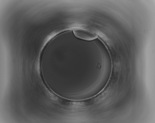 X0000113061469200908281124