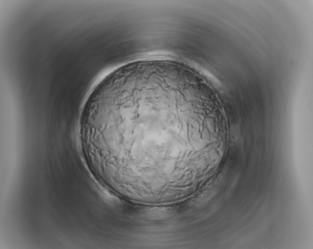 X0000113061470200908281124