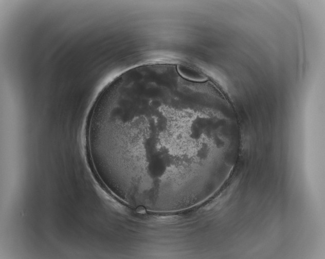 X0000113061471200908281124