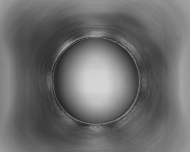 X0000113061473200908281124