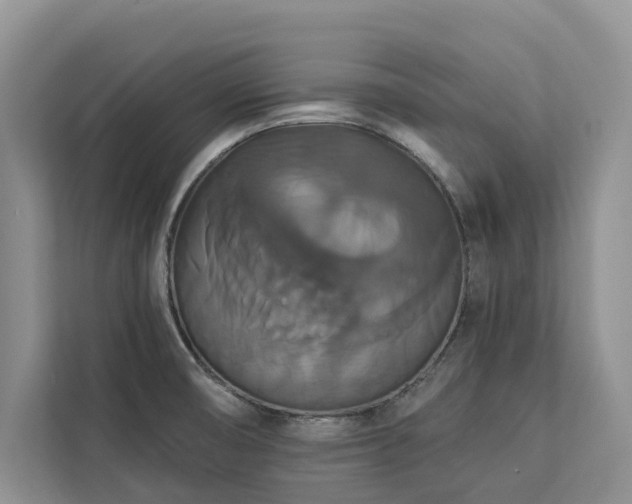 X0000113061474200908281124