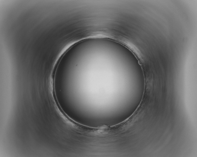 X0000113061476200908281124