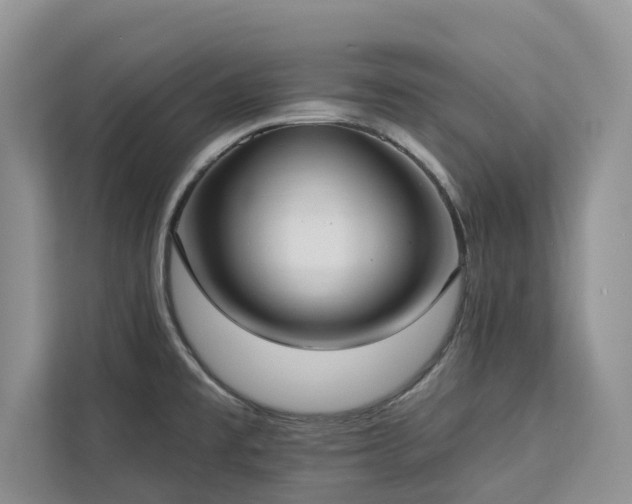 X0000113061477200908281124