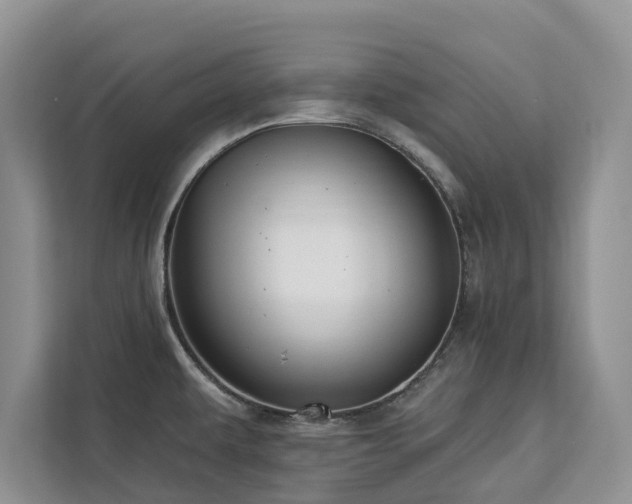 X0000113061479200908281124