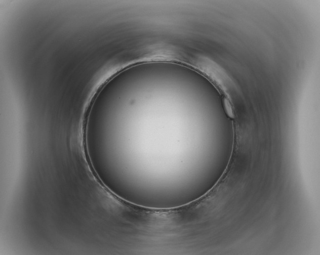 X0000113061480200908281124