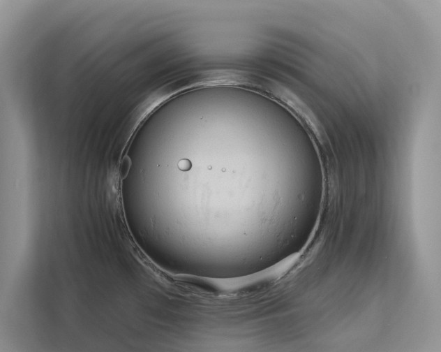 X0000113061481200908281124