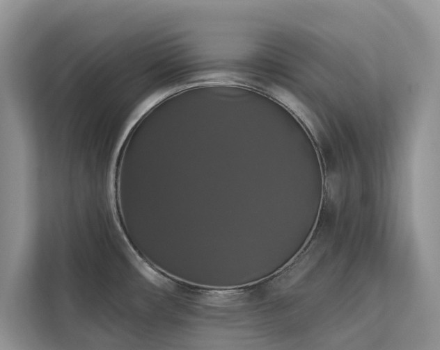 X0000113061482200908281124