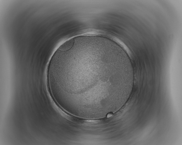 X0000113061483200908281124