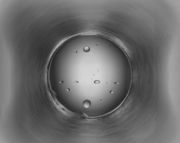 X0000113061484200908281124