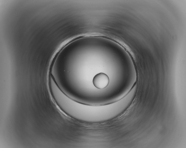 X0000113061485200908281124