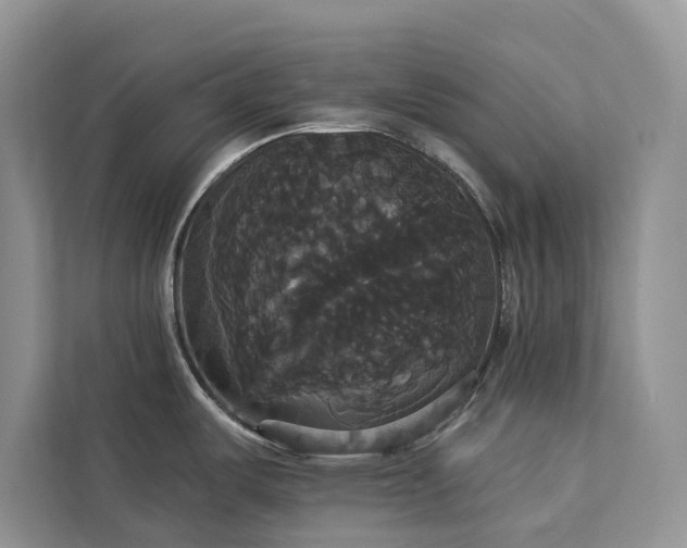 X0000113061487200908281124