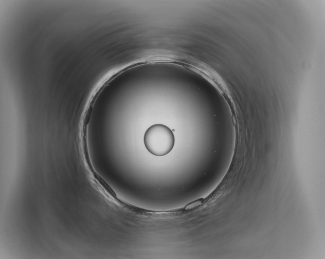 X0000113061488200908281124