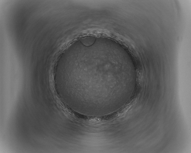X0000113061489200908281123