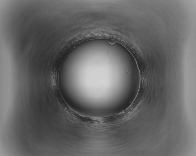 X0000113061490200908281123