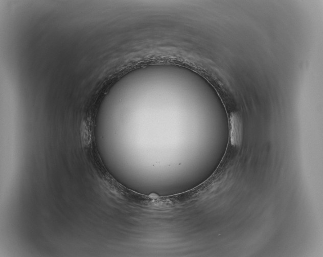 X0000113061491200908281123