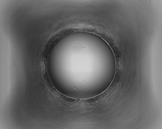 X0000113061493200908281123
