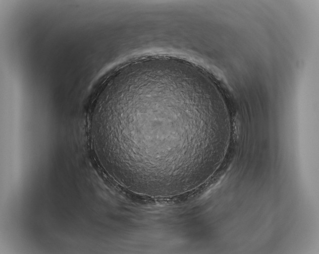 X0000113061494200908281123