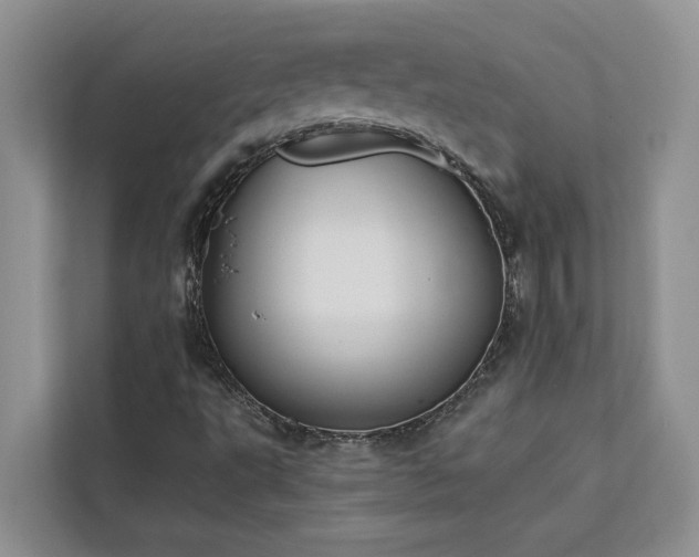 X0000113061495200908281123