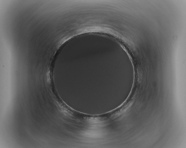 X0000113061497200908281123