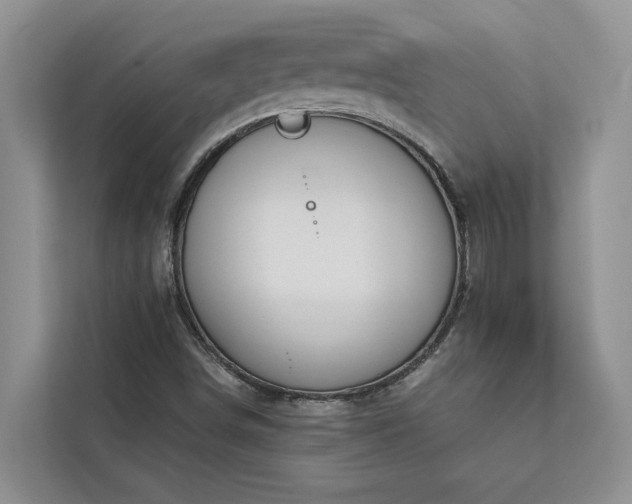X0000113061498200908281123