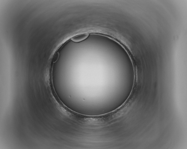 X0000113061500200908281123