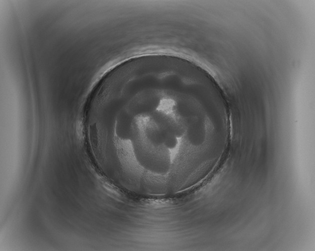 X0000113061501200908281123