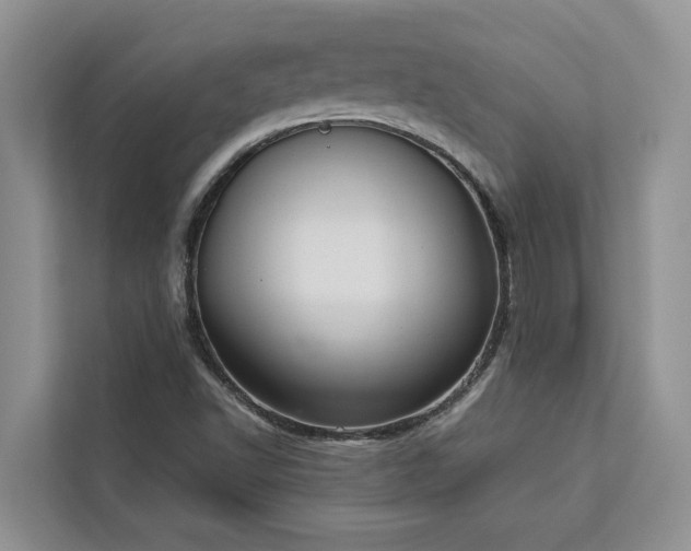 X0000113061502200908281123
