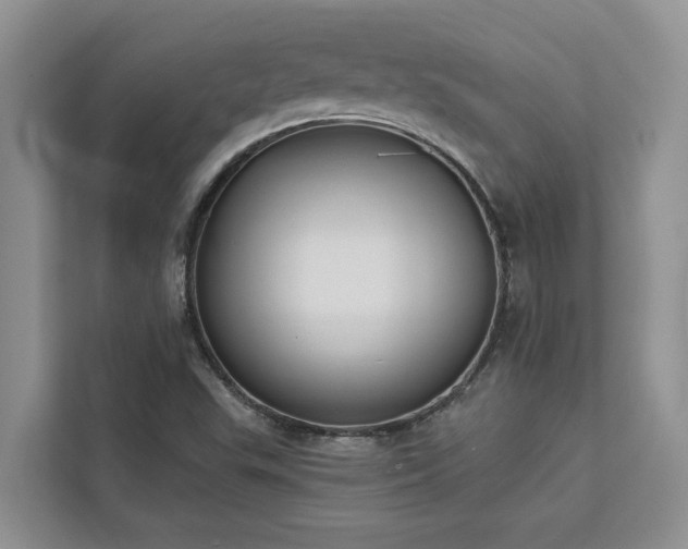 X0000113061503200908281123