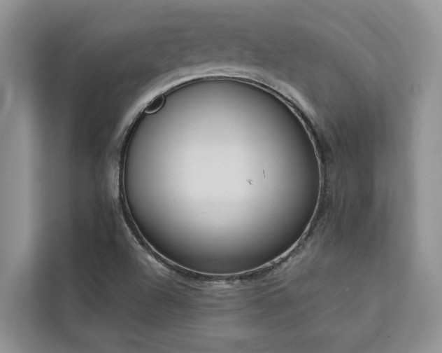 X0000113061504200908281123