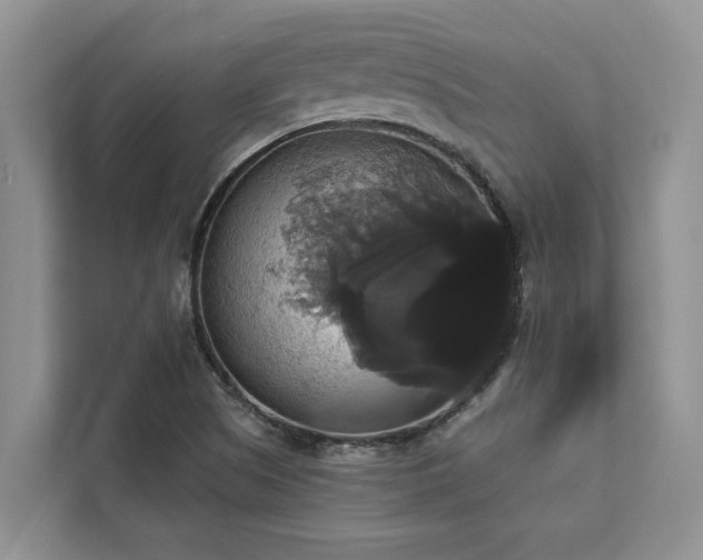 X0000113061505200908281123