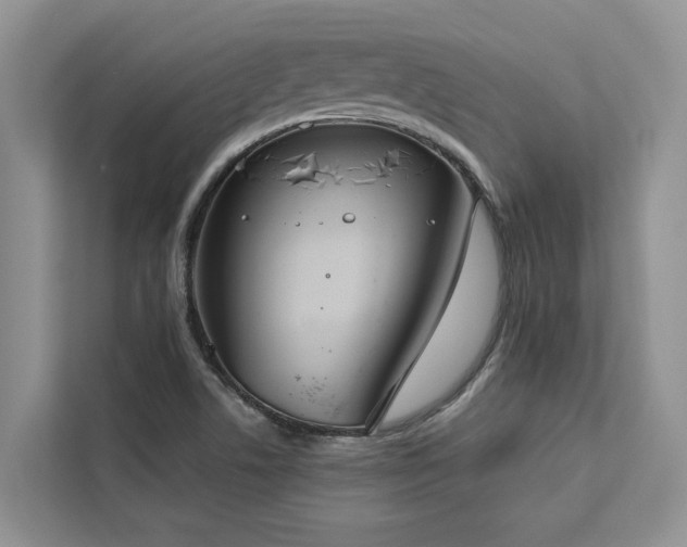 X0000113061506200908281123