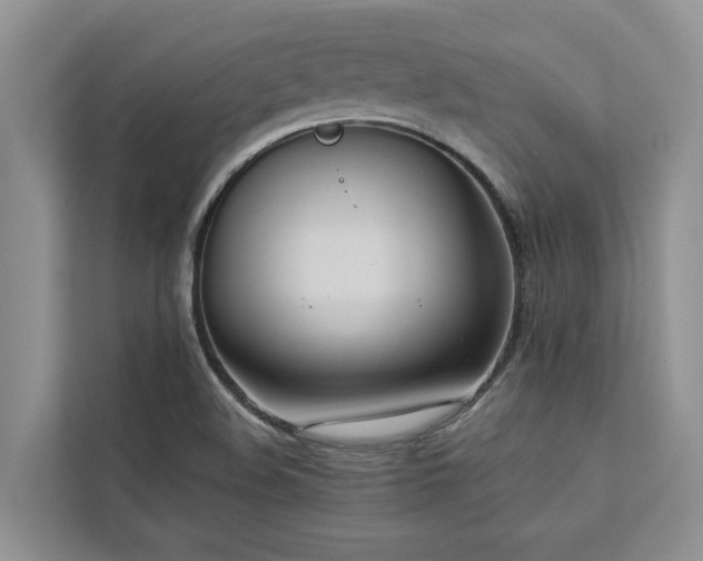 X0000113061508200908281123