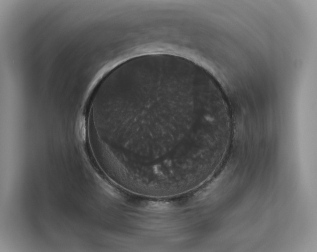 X0000113061509200908281124