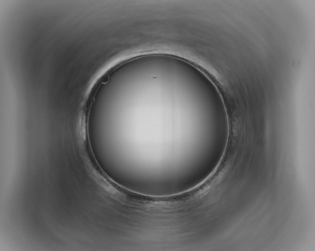 X0000113061510200908281124