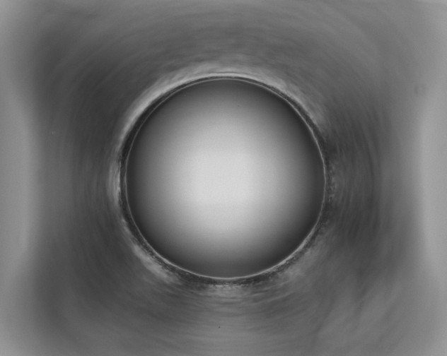 X0000113061511200908281124