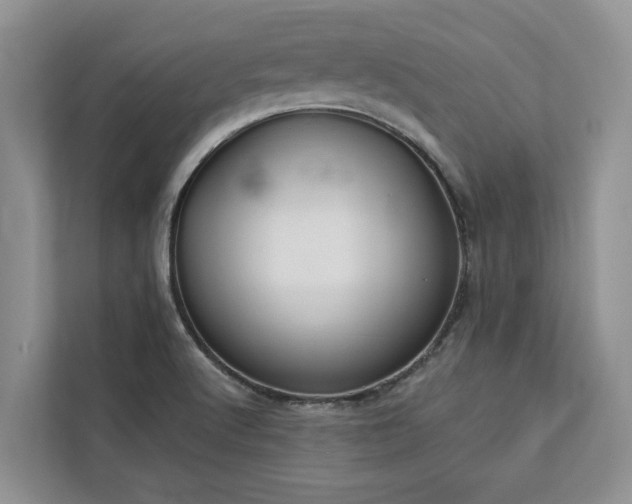 X0000113061512200908281124