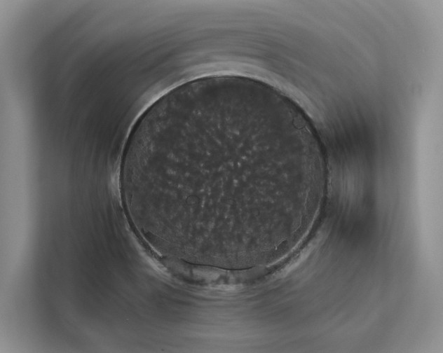 X0000113061513200908281124