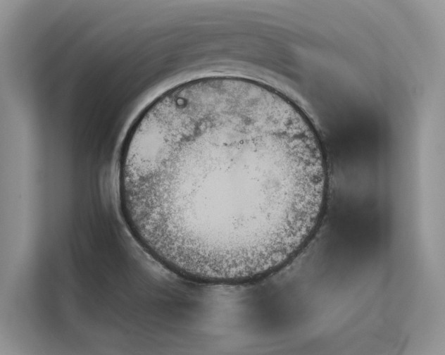 X0000113061514200908281124