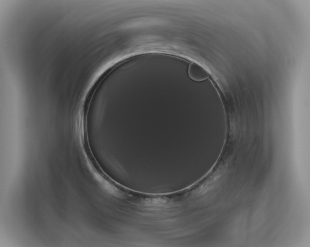 X0000113061515200908281124